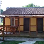 DSC 0954